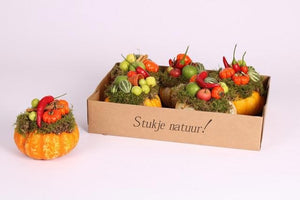 Ornamental Cucurbita Display – Ceramic Pot