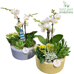 Stella Mixed Flower Arrangement – 22cm Ceramic Pot