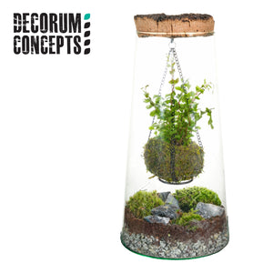 Mixed Colour Kokedama Terrarium – 15cm Glass Pot