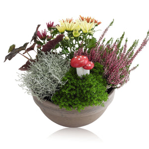 Oval Wooden Plant Arrangement – 20cm