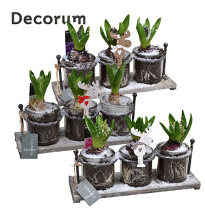 Serviro Wooden Plant Arrangement – 30cm