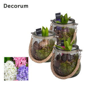 Glass Arrangement with Rope Detail – 13cm Pot