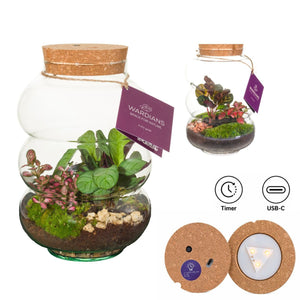 Medium Pluto Glass Terrarium with LED – 17cm