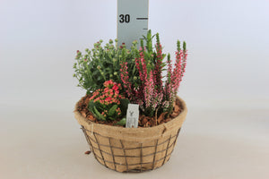 Garden Arrangement in Jute Basket – 25cm