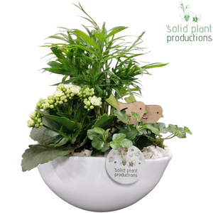 White Orchid Arrangement – 22cm Oval Ceramic Pot