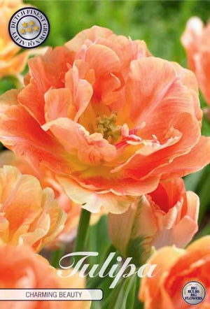Tulipa ‘Amazing Grace’ Double Late Tulip Bulbs – Pack of 7