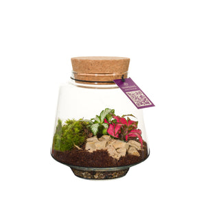 Small Mercury Terrarium with LED Light – 12cm