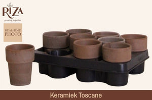 Toscana Terracotta Plant Pot – 10cm