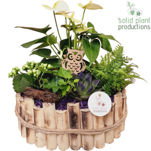 Verona Autumn Red Plant Arrangement – 30cm Pot