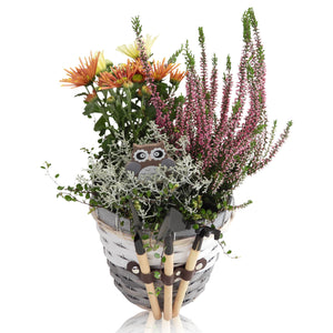 Decorative Indoor Plant Arrangement – 23cm Wicker Pot