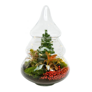 Christmas Tree Terrarium with LED Lights – 24cm Glass