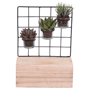 Metal Plant Stand with Glass Display – 24cm