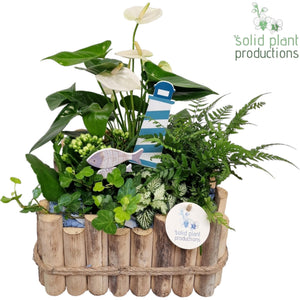 Large Maritiem Wooden Plant Arrangement – 30cm Pot