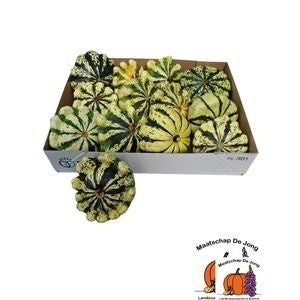 Patisson Mix Ornamental Gourds