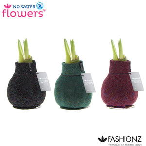 Waxed Hippeastrum ‘Fashionz Patternz Shine’