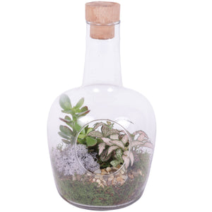 Year-Round Indoor Plant Arrangement in Glass Vase – 18cm