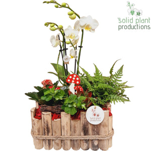Large Autumn Red Arrangement – 30cm Square Wooden Pot