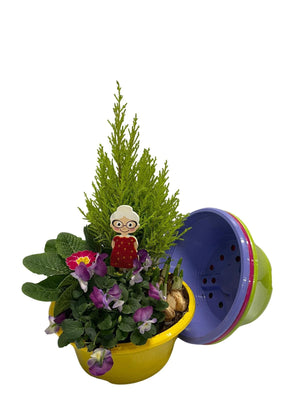 Indoor Plant Arrangement – 23cm Ornamental Pot