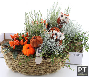 Garden Plant Arrangement in a 34cm Seagrass Pot