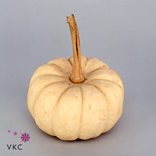 Baby Boo Ornamental Pumpkins – 9 Pack