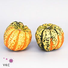Ornamental Fruit Festival Mix – Decorative Display