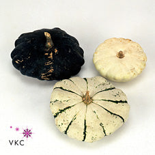 Patisson Mix Ornamental Gourds