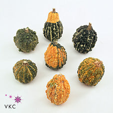 Mixed Ornamental Fruit Arrangement