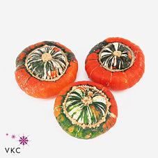 Ornamental Turkish Turban Gourds – Mixed Selection