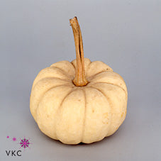 White Ornamental Baby Boo Pumpkins – Pack of 20