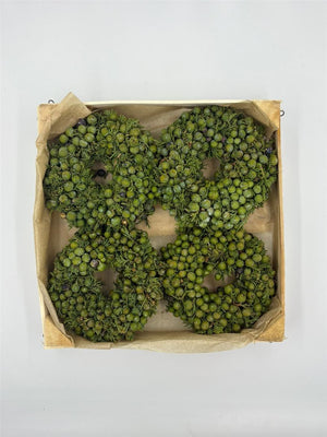 Mini Juniperus Wreath – 12cm