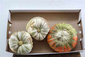 Turban Squash Ornamental Fruit – Orange