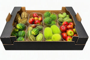 Ornamental Cucumis Mix – Decorative Fruiting Plant