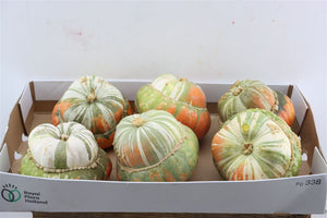 Turban Squash Ornamental Fruit – Orange