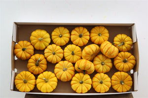 Mixed Ornamental Gourds – Decorative Pumpkin Collection