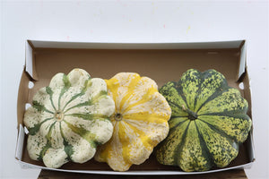 Mixed Ornamental Pumpkins – Set of 3