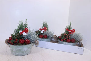 Garden Plant Arrangement – 22cm Zinc Pot