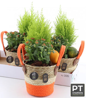 Artificial Garden Arrangement in Seagrass Pot – 19cm