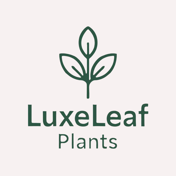 Luxe Leaf Plants