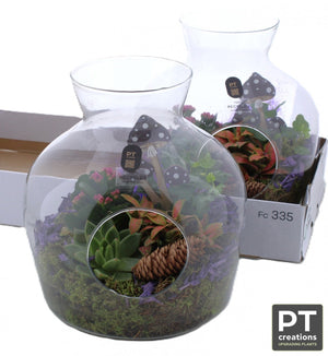 Indoor Plant Arrangement in Recycled Glass – 23cm