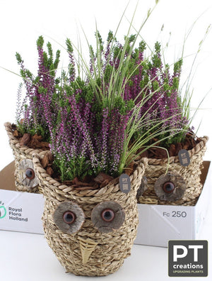 Decorative Wicker Basket Arrangement – 19cm