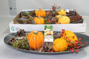 Mixed Sierfruit Arrangement – 50cm Oval Pot