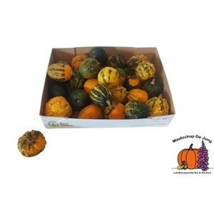Mixed Ornamental Cucurbita Gourds