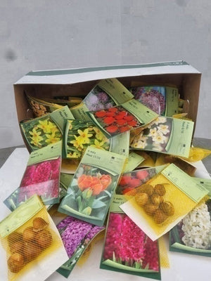 Mixed Flower Bulb Gift Bags