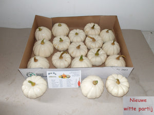 Baby Boo Ornamental Fruit Display