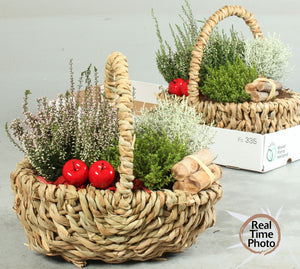 Garden Plant Arrangement in Willow Pot – 29cm