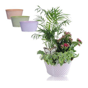 Zinc Round Plant Arrangement – 18cm Pot