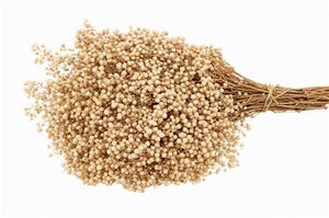 White Bleached Schinus Decorative Bunch