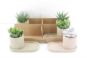 Soft-Touch Succulent Arrangement – 26cm Pot