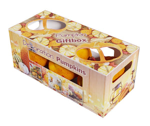 Mixed Ornamental Fruit Gift Box