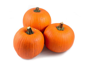Maxima Halloween Ornamental Pumpkin – Orange